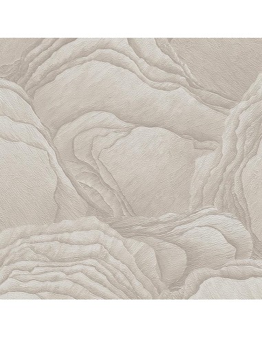 Papel Pintado Saint Honoré Classy Home 1261-4558
