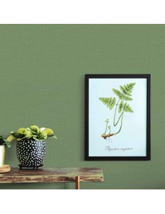 Papel Pintado Saint Honoré Classy Home 1261-4577 2