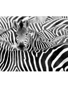 Fotomural Decoas Kenya 363616 2