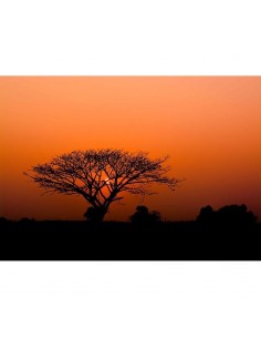 Fotomural Decoas Kenya 363654 2