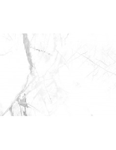Panel SPC Reviste Calacatta Snow 2