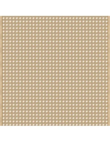 Papel Pintado ICH Nomad 4304-2 BORNEO RATTAN