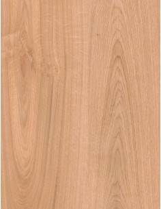 Revestimiento Mural PVC Baridecor Aqua Extensive Oak Bilbao BAR46