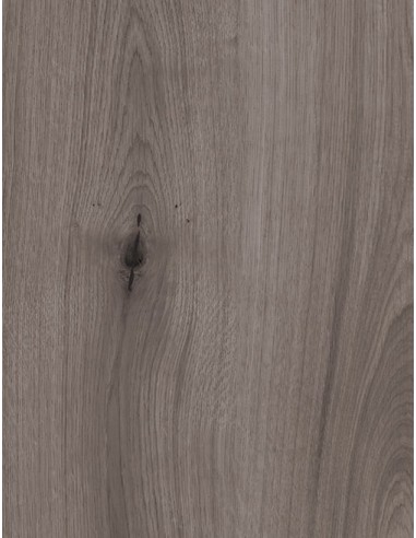 Revestimiento Mural PVC Baridecor Aqua Extensive Roma Gris Oscuro BAR63