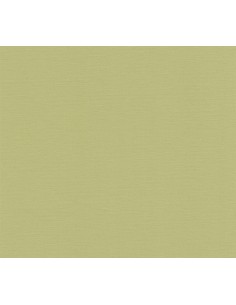 Papel pintado Antigua 390974 2