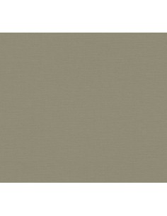 Papel pintado Antigua 390975 2