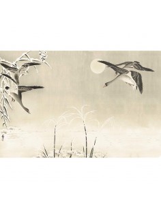 Fotomural ICH Panorama V103-1 Oriental Ducks 2