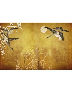 Fotomural ICH Panorama V103-2 Oriental Ducks