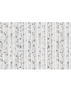Fotomural ICH Panorama V107-2 White forest
