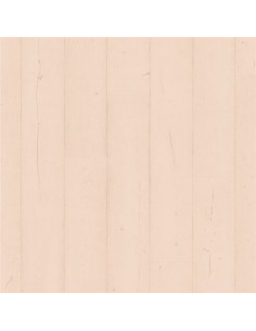 Suelo Laminado Capture... 2