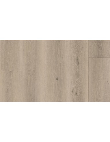 Suelo Vinílico Tarkett Iconik 240 Mill Oak Grege (Rollo 50 M2)