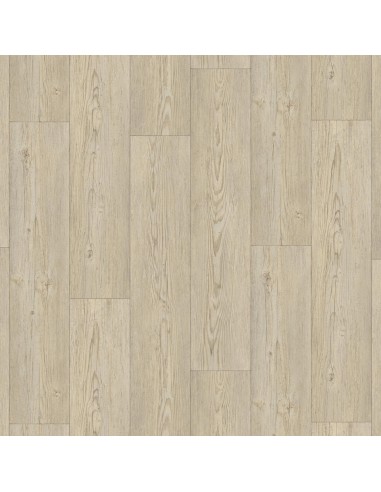 Suelo Vinílico Tarkett Iconik 240 Winter Pine Grege (Rollo 50M2)