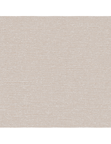 Papel pintado Kemen Tapestry TP422402