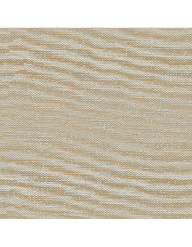 Papel pintado Kemen Tapestry TP422404