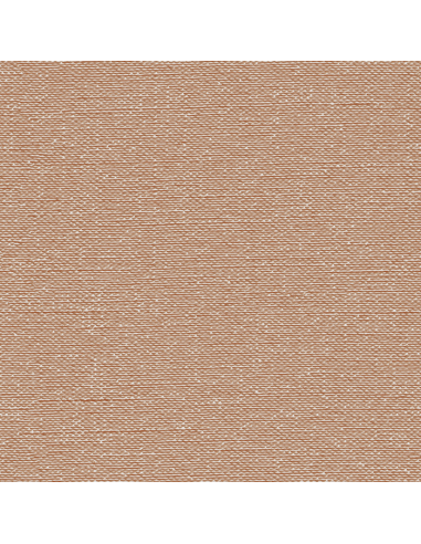 Papel pintado Kemen Tapestry TP422405