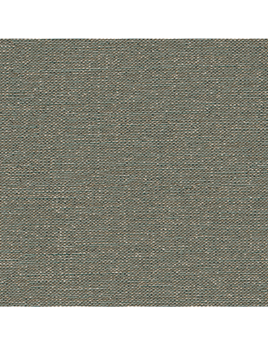 Papel pintado Kemen Tapestry TP422406
