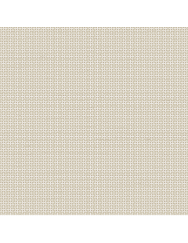 Papel pintado Kemen Tapestry TP422602