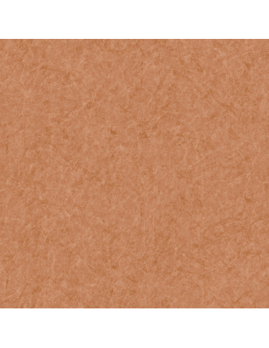 Papel pintado Kemen Tapestry TP422904