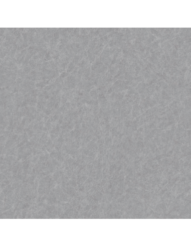 Papel pintado Kemen Tapestry TP422907
