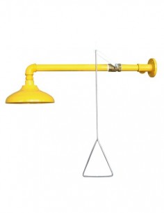 Ducha De Pared Safetop Para... 2