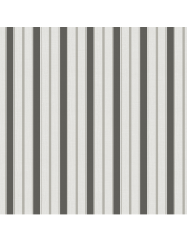Papel pintado Stripes & More 051-STR...