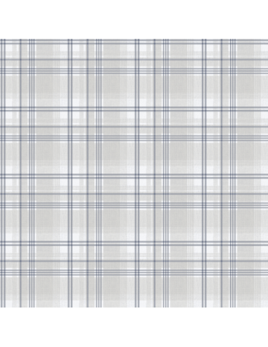 Papel pintado Stripes & More 007-STR...
