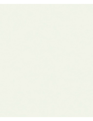 Papel pintado Sion SN5601