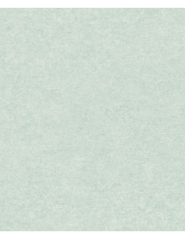 Papel pintado Sion SN5602