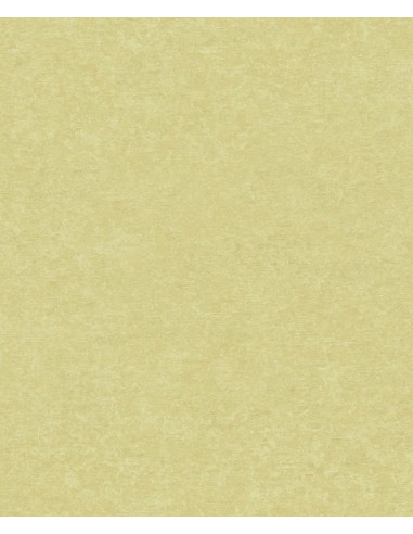 Papel pintado Sion SN5604