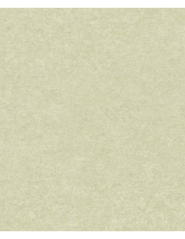 Papel pintado Sion SN5603