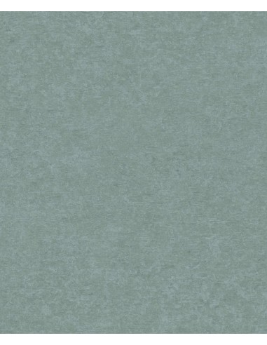 Papel pintado Sion SN5606