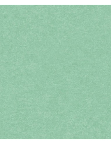 Papel pintado Sion SN5605