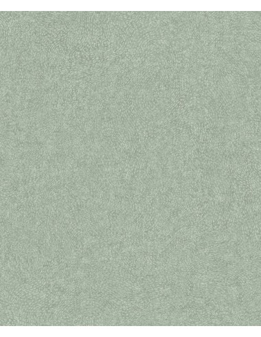 Papel pintado Sion SN7003