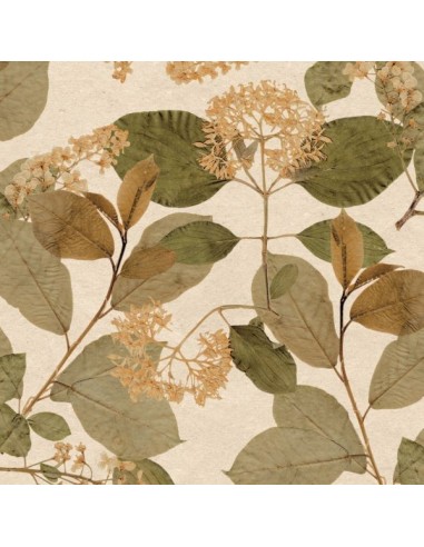 Papel pintado Herbarium 1173-5753