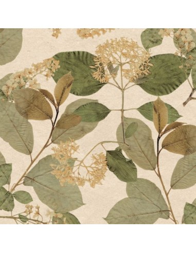 Papel pintado Herbarium 1173-5757