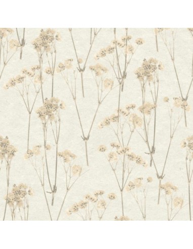Papel pintado Herbarium 1173-5763