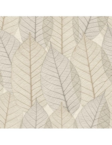 Papel pintado Herbarium 1173-5769