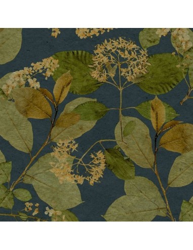 Papel pintado Herbarium 1173-5773