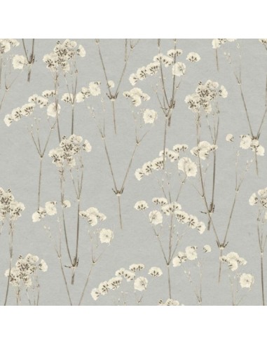 Papel pintado Herbarium 1173-5779