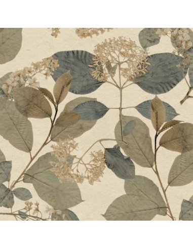 Papel pintado Herbarium 1173-5781