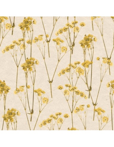 Papel pintado Herbarium 1173-5788