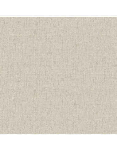 Papel pintado Why Not 27502