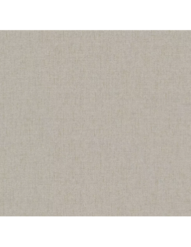 Papel pintado Why Not 27504