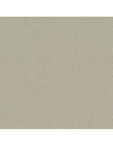 Papel pintado Why Not 27510