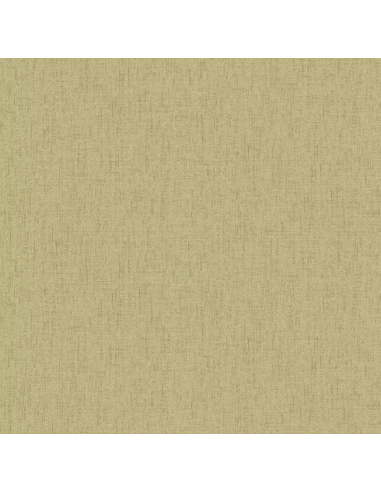 Papel pintado Why Not 27512