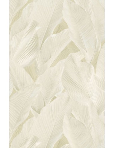 Papel pintado Tahití - Banya 13305