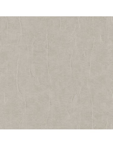 Papel pintado Renaissance RE521083
