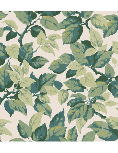 Papel pintado Ashdown Canopy M1804