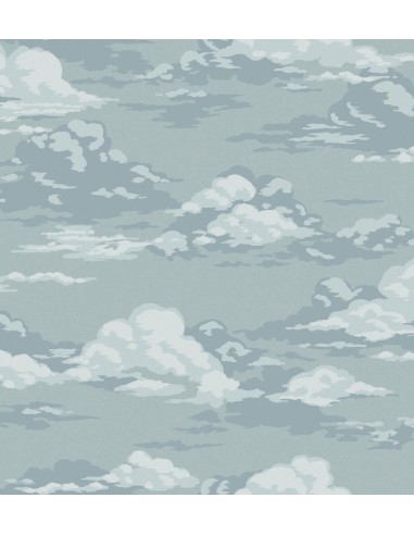 Papel pintado Ashdown Cumulus M1808