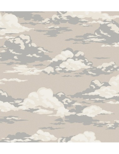 Papel pintado Ashdown Cumulus M1809